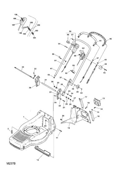 Picture of Chassis e Manico