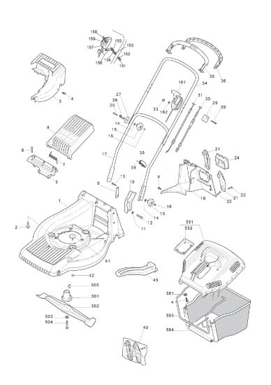 Picture of Chassis e Manico