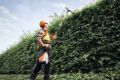 Tagliasiepi allungato a batteria Stihl HLA 150