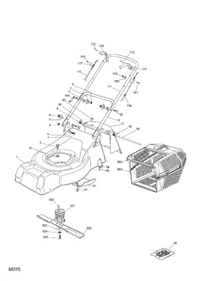 Picture of Chassis e Manico