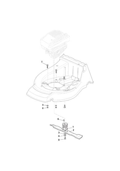 Picture of Coltello (Lama)