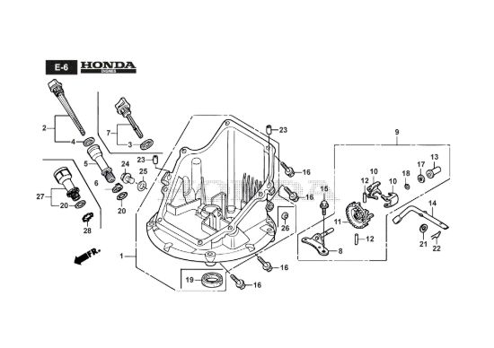 Picture of Coppa Motore