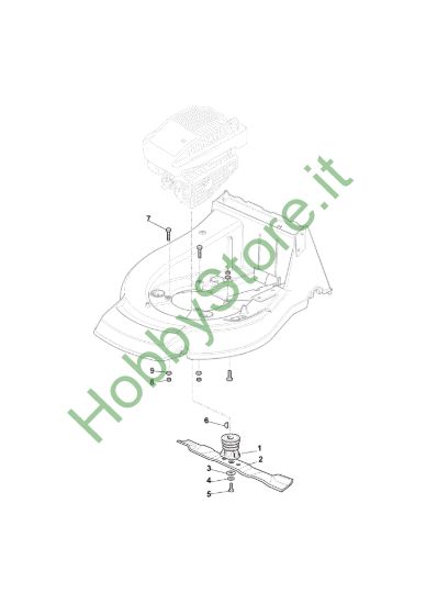 Picture of Coltello (Lama)