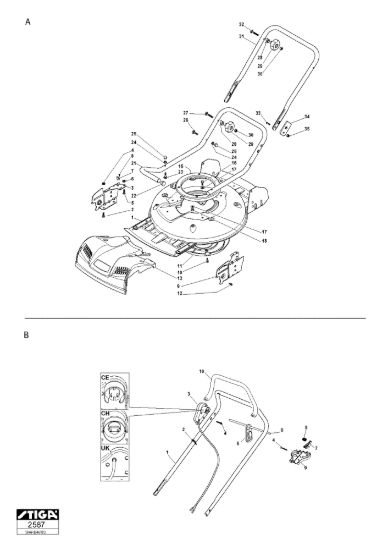 Picture of Chassis e Manico