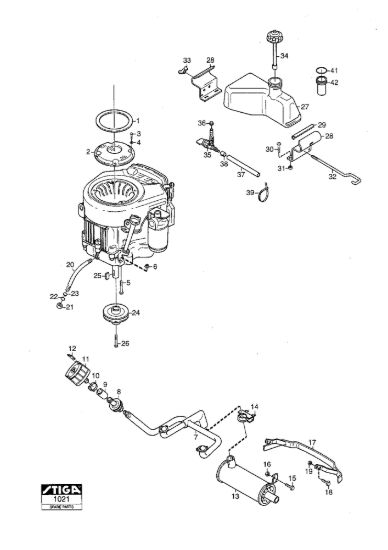 Picture of Motore