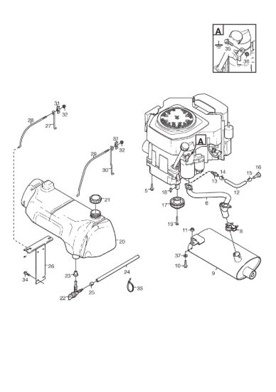 Picture of Motore