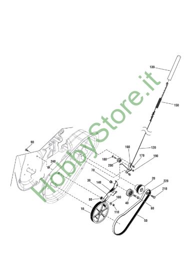 Picture of Belt Trasmissione