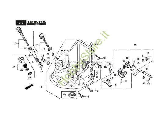 Picture of Coppa Motore