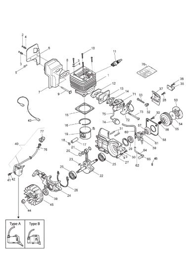 Picture of Motore