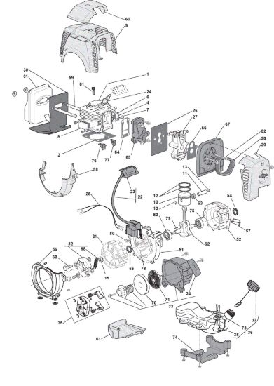 Picture of Motore
