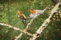 Potatore a batteria Stihl GTA 20