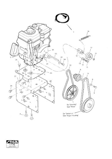 Picture of Motore
