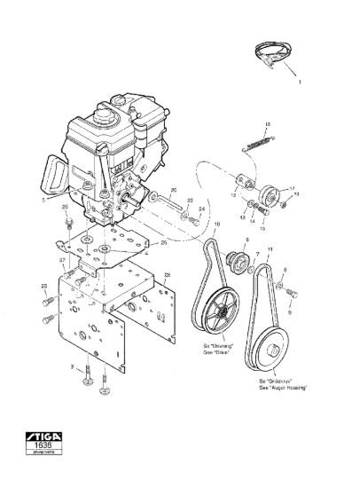 Picture of Cinghie Motore