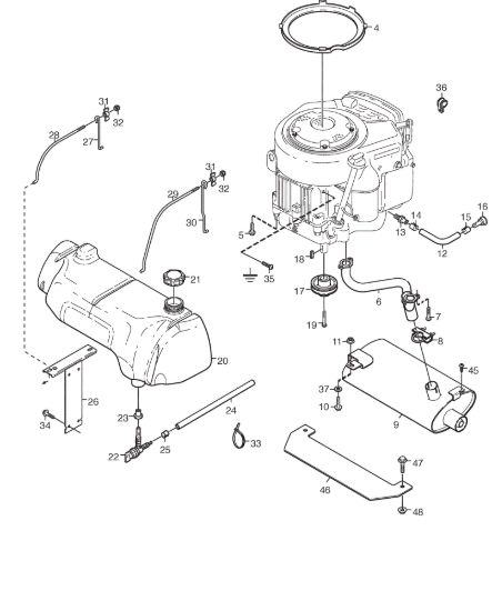 Picture of Motore