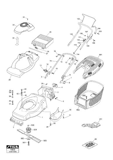 Picture of Chassis e Manico